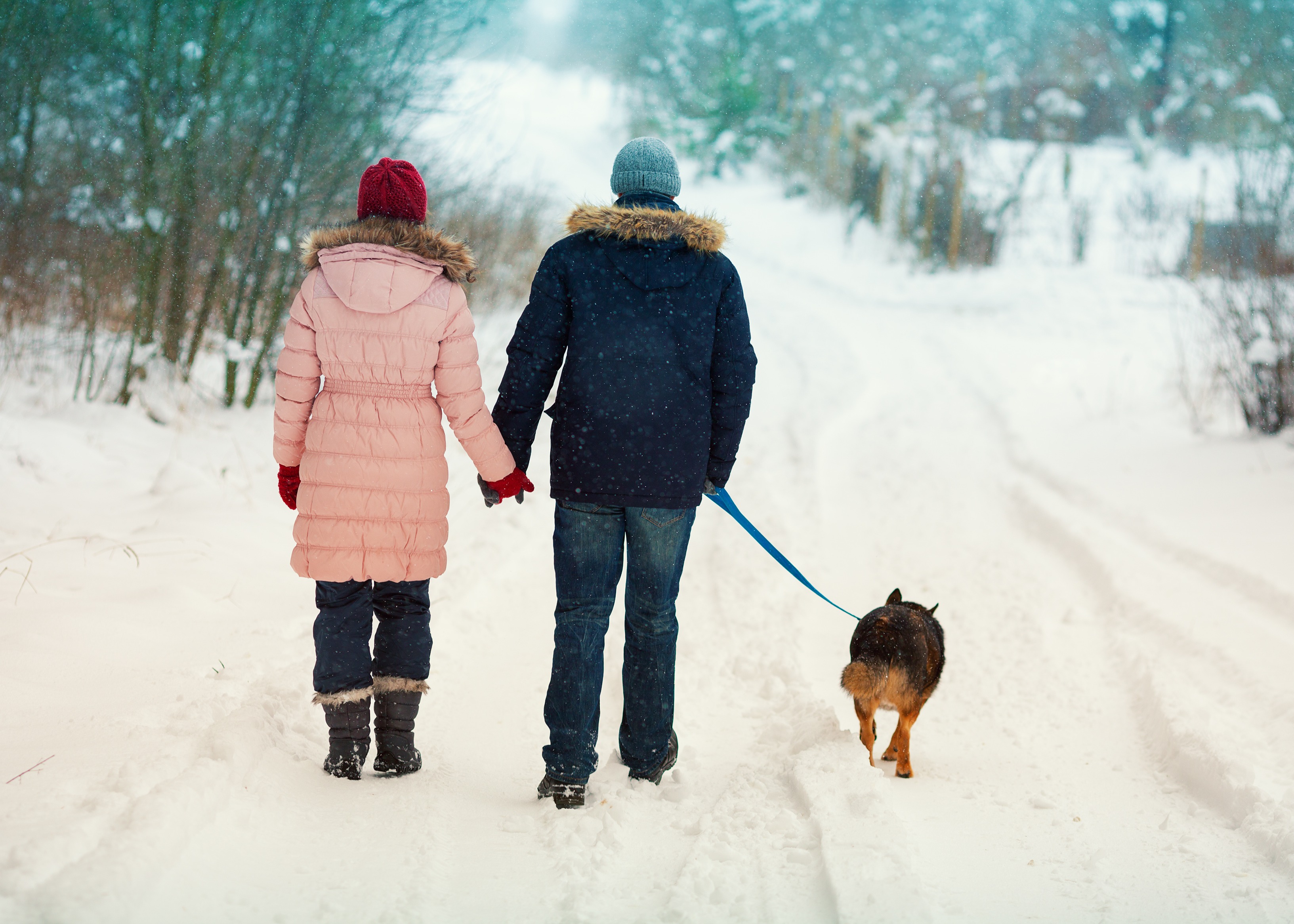 Winter Countryside Walk 5 7