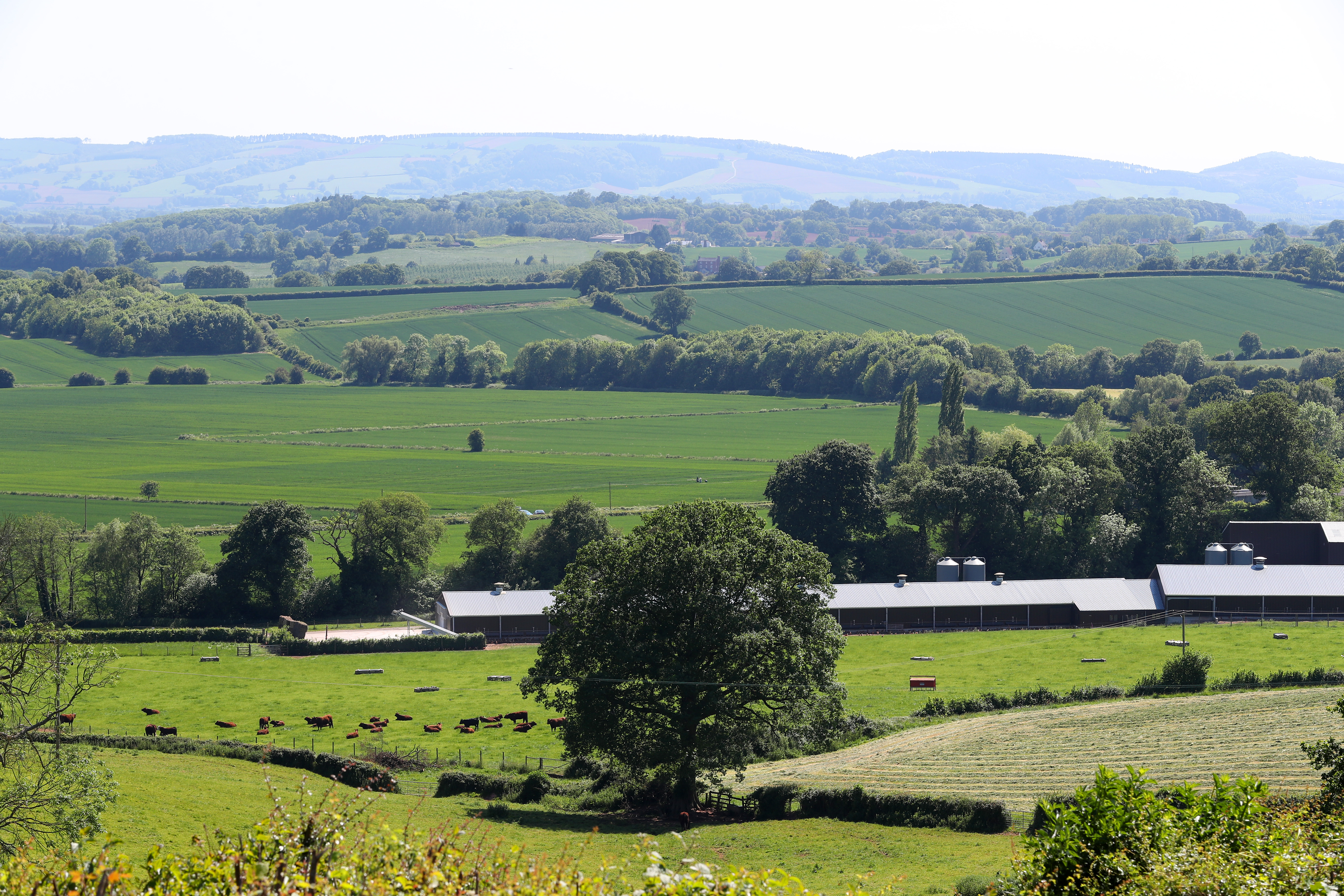 Wales