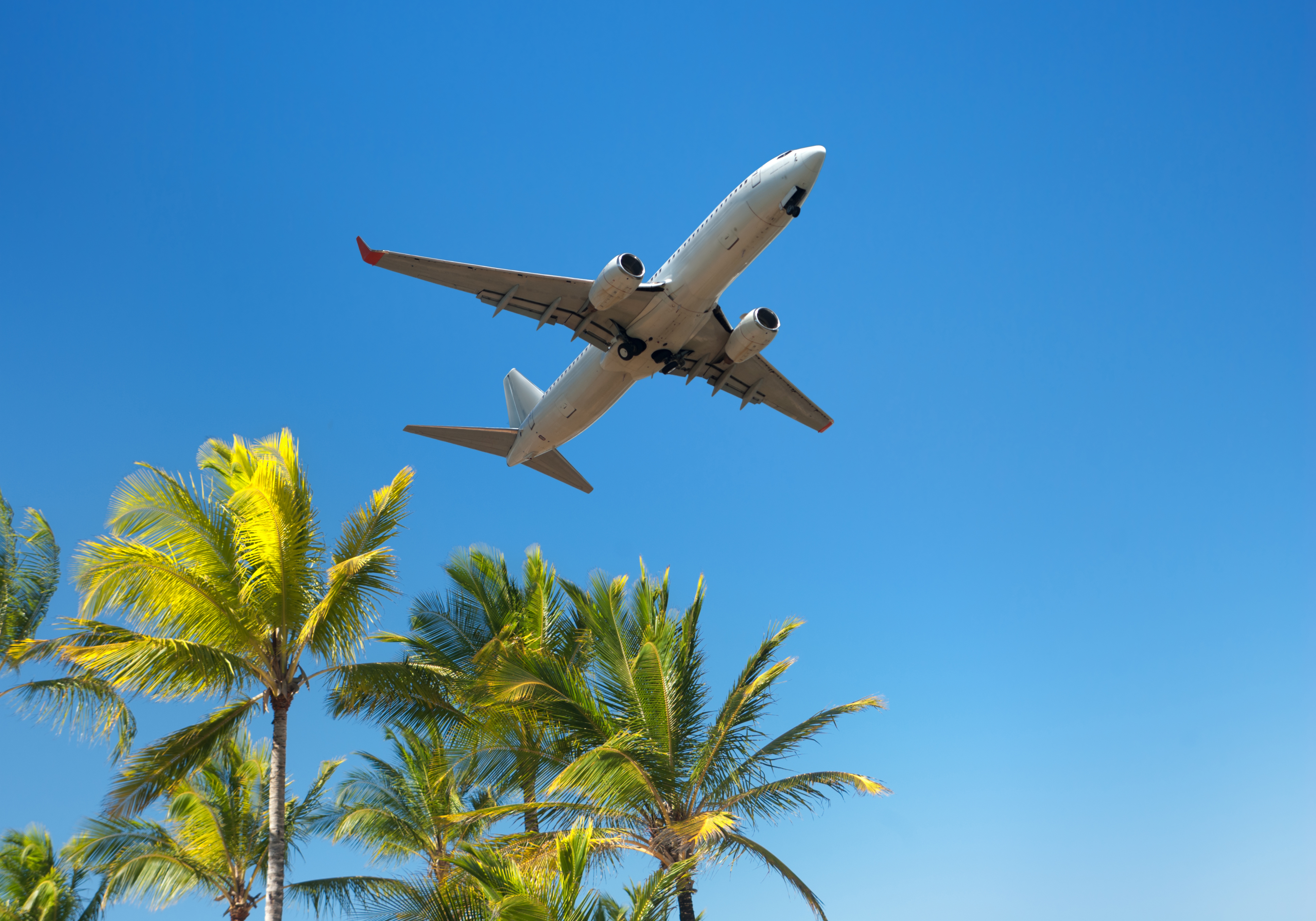 Managing Employee's Holiday Accrual
