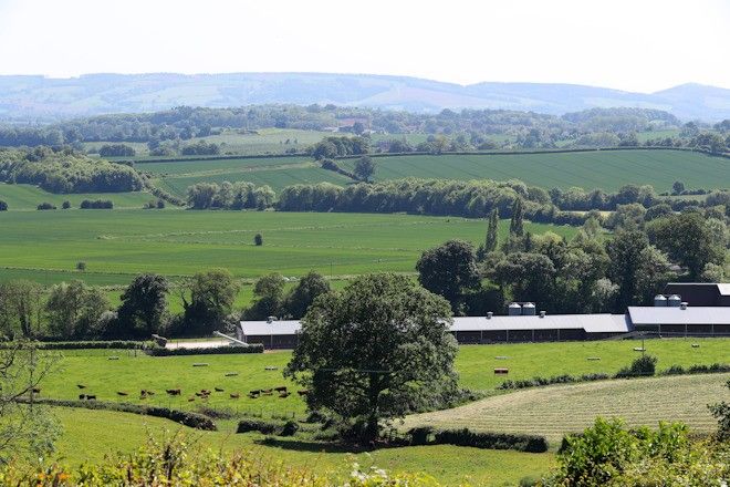 landscape.jpg